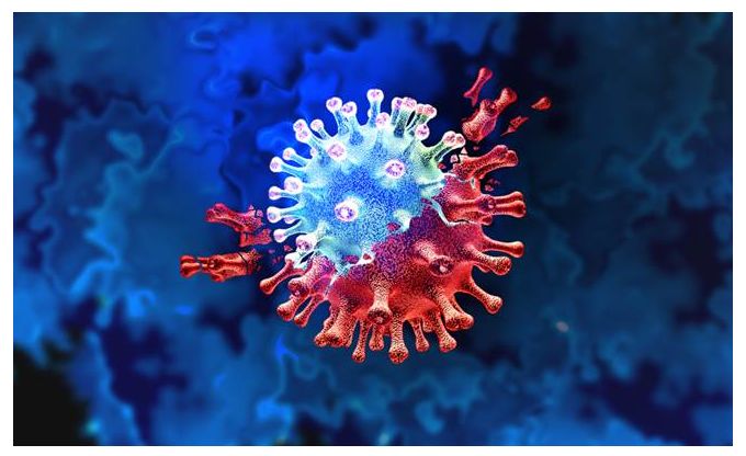 Yeni Bir Koronavirüs Melezi Keşfedildi!