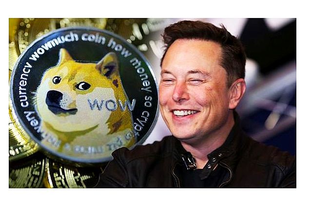 Elon Musk neden Dogecoin ve kripto yatırım uyarısı yaptı?