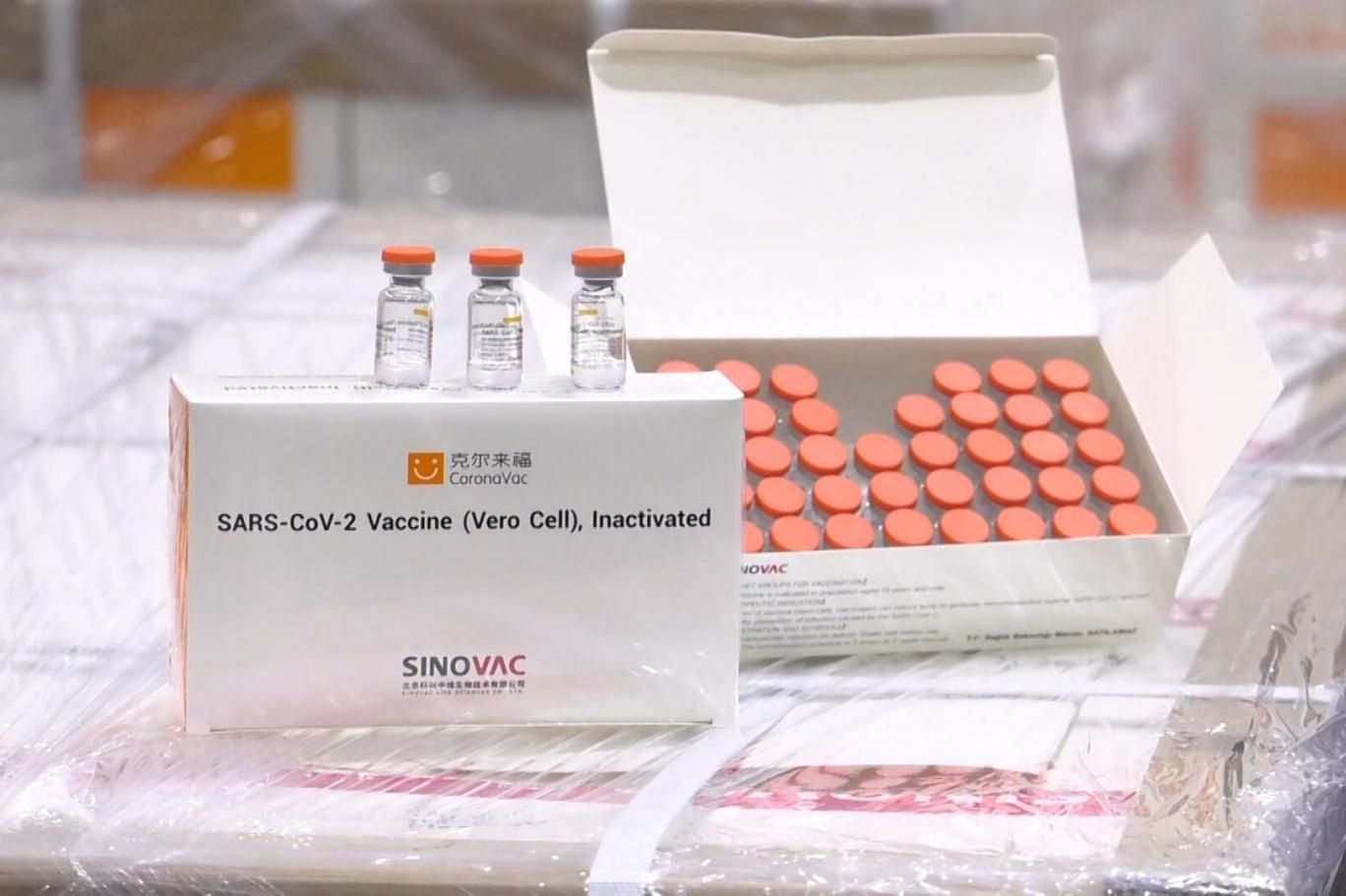 Çin'den yeni bir parti Sinovac aşısı daha geldi!