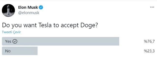 Elon Musk'tan kafaları karıştıran soru: "Doge ile Tesla Satın Almak İster misiniz?"