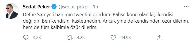 Sedat Peker: "Defne Samyeli hanımın tweetini gördüm...!"