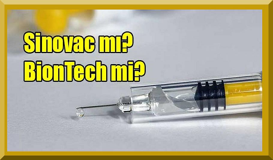Biontech mi Sinovac mı daha etkili? Koronavirüs aşısı yan etkileri nelerdir?