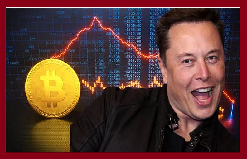 Elon Musk tweeti sonrası Bitcoin kaç dolar oldu?