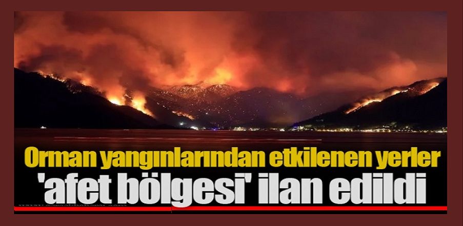 Cumhurbaşkanı Erdoğan duyurdu! Yangından etkilenen yerler afet bölgesi ilan edildi!