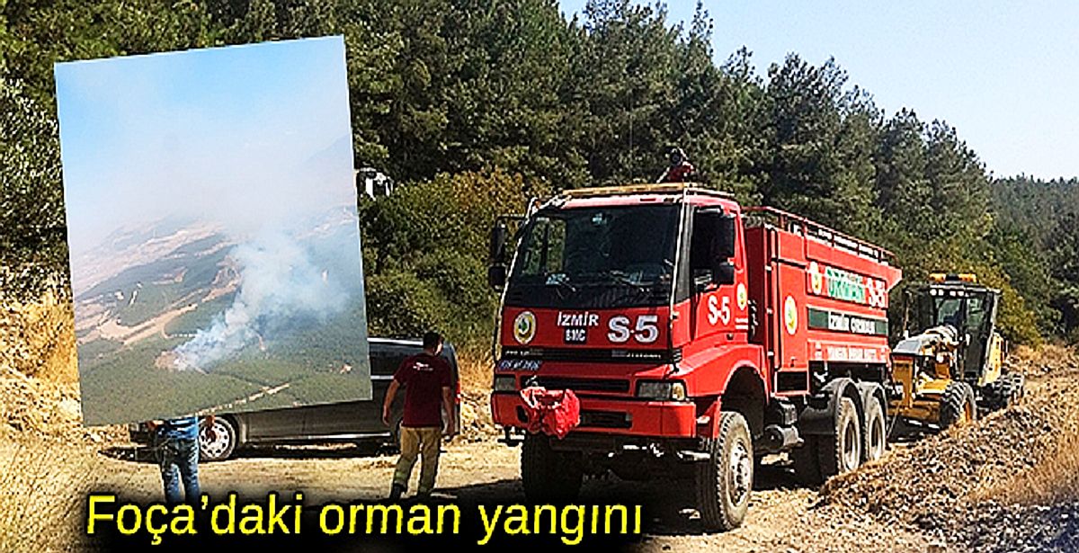 İzmir Foça'da orman yangını! Havadan ve karadan müdahale ediliyor!