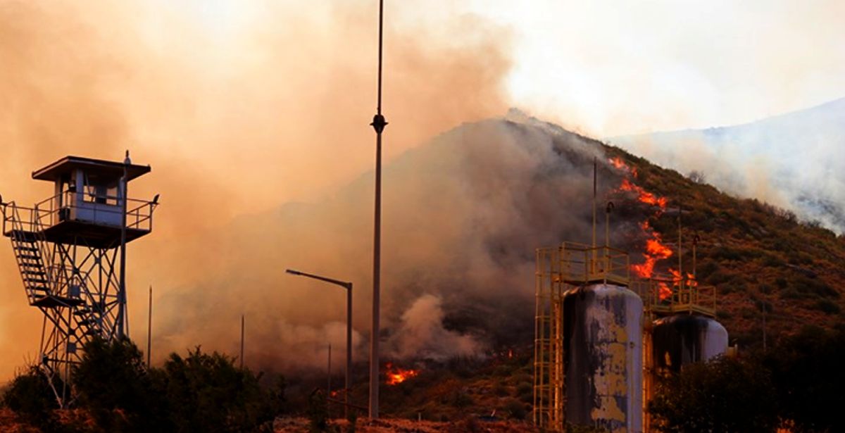 Korkulan oldu! Milas'taki orman yangını termik santrale ulaştı!