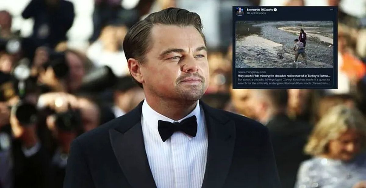 Leonardo DiCaprio'dan 'Batman Bantlı Çöpçü Balığı' paylaşımı heyecan yarattı!
