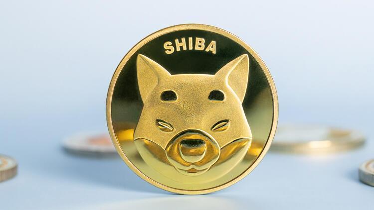 Shiba coin ne kadar oldu, neden yükseldi? 7 Şubat 'Shiba coinde' son durum!
