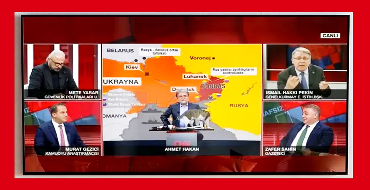 CNN Türk canlı yayınında stüdyoya kedi girdi: 