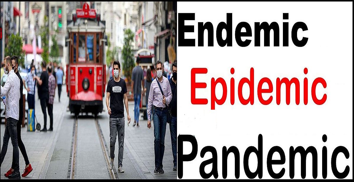 Pandemi gidiyor, endemi geliyor... Peki hayatımızda neler değişecek?